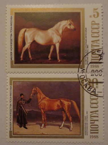 СССР.1988.Породы лошадей