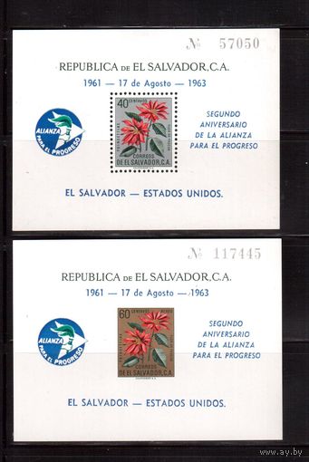 Сальвадор-1963, (Мих.Бл.16-17)  * (сл. от накл.), Флора, Цветы, Надп.