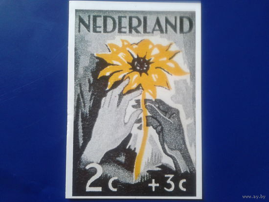 Нидерланды 1980 против наркотиков