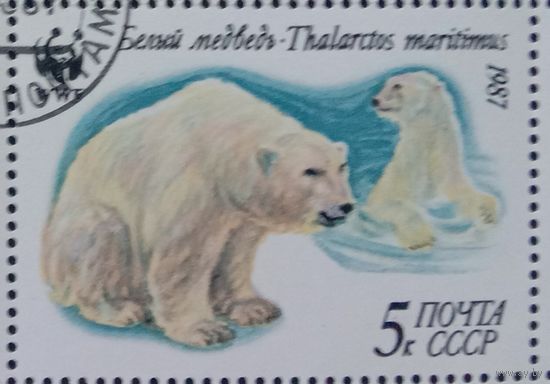 Марка СССР Белый медведь 1987