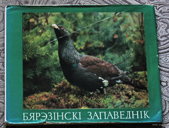 Бярэзiнскi Запаведнiк. Фотоальбом на 4 языках.