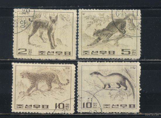 Корея КНДР 1964 Хищные животные Полная #558-61