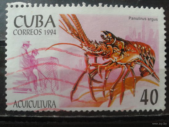 Куба 1994 Морская фауна