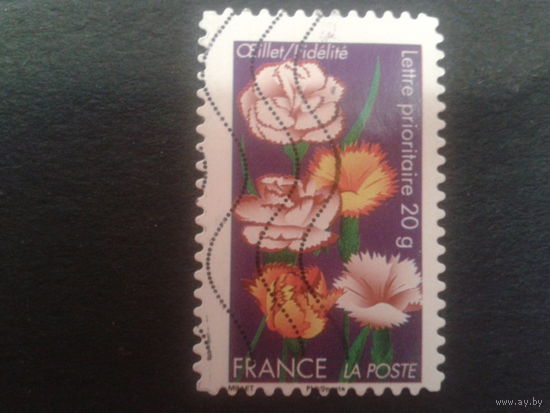 Франция 2012 цветы