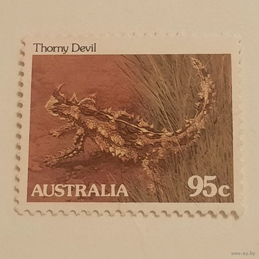 Австралия. Фауна.Thorny Devil