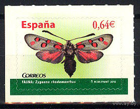 2010 Испания. Моль Zygaena rhadamanthus