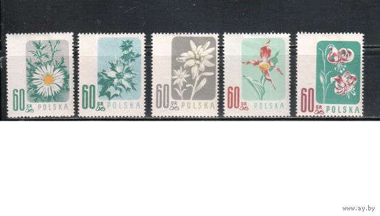 Польша-1957,(Мих.1020-1024) *  , Флора, Цветы (полная серия)