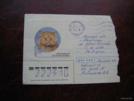 Конверт СССР Персидская красная кошка 1990 год, штамп Молодечно, Борисов