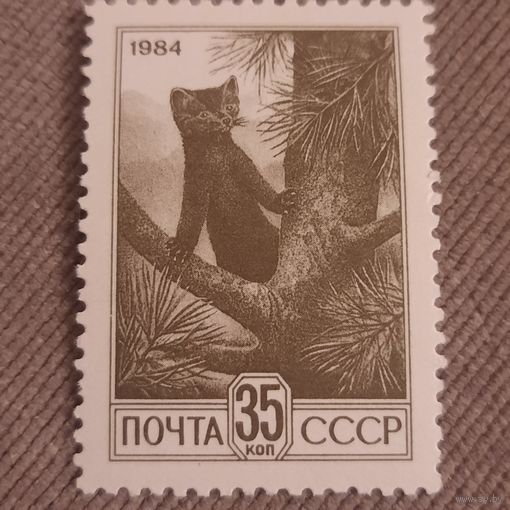 СССР 1984. Соболь. Стандарт