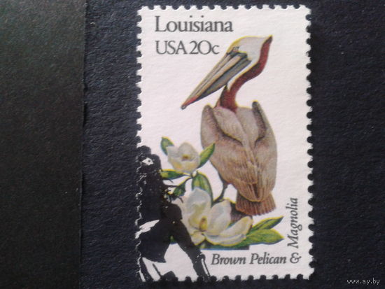 США 1982 пеликан