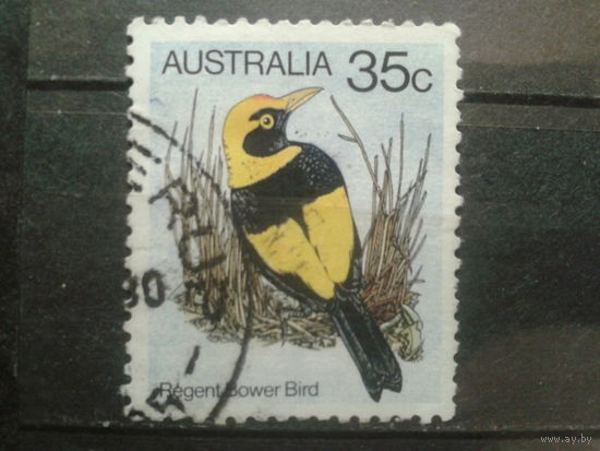 Австралия 1980 Птица