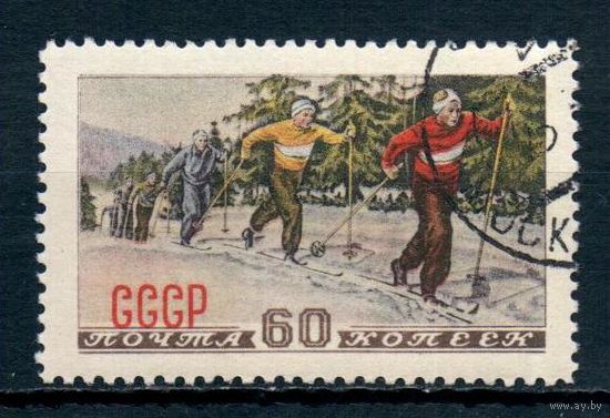 Зимний спорт СССР 1952 год 1 марка (тип II)