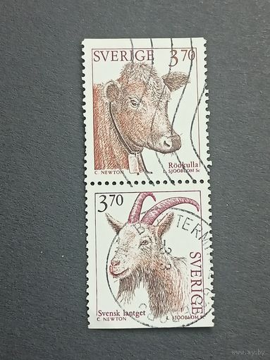 Швеция 1995. Домашние животные. Сцепка