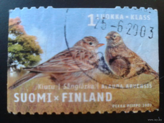 Финляндия 2003 птицы
