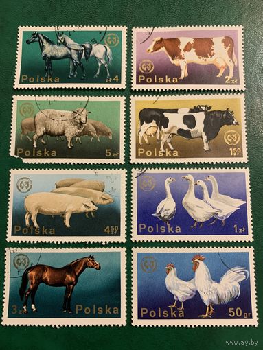 Польша 1975. Сельскохозяйственные животные. Полная серия