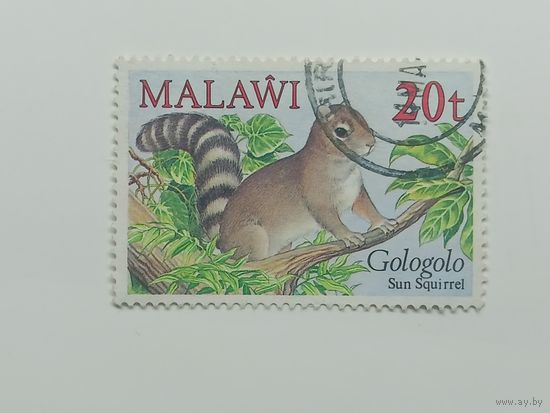 Малави 1984. Маленькие млекопитающие