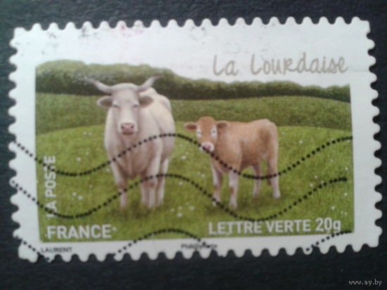 Франция 2015 домашние животные