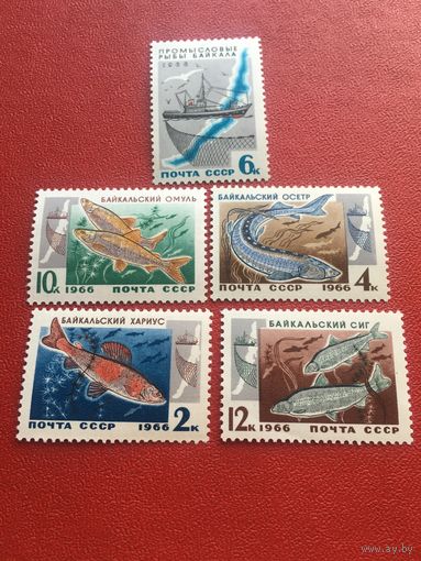 СССР 1966 год промысловые рыбы