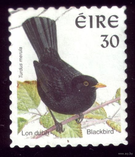 1 марка 1998 год Ирландия Ворона 1058