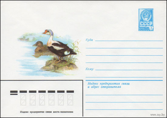 Художественный маркированный конверт СССР N 14805 (13.02.1981) [Гага-гребенушка]