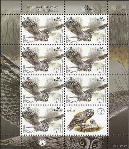 Птица года. Бородатая неясыть Беларусь 2005 год (606) серия из 1 марки в малом листе
