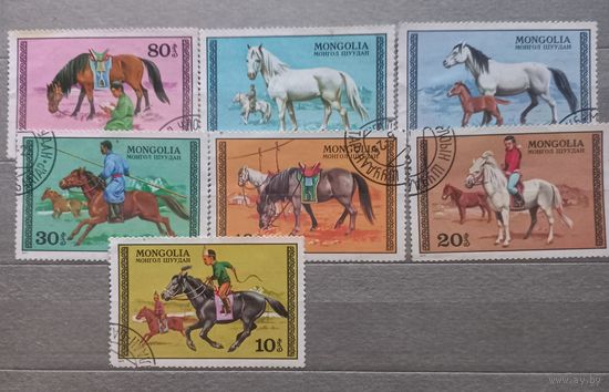 Монголия.1977г. Фауна. Лошади.