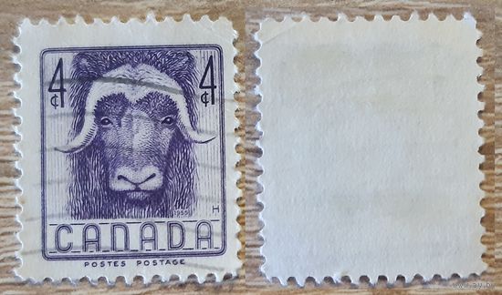 Канада 1955 Национальная неделя дикой природы. Овцебык