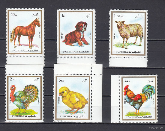 Фауна. Животные. Фуджейра (ОАЭ). 1972. 6 марок (авиапочта). Michel N 1299-1304 (7,2 е)