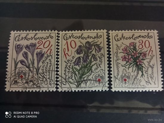 Чехословакия 1979, цветы