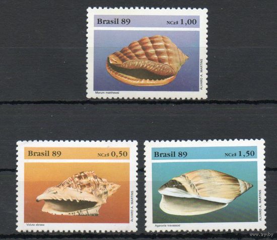 Раковины Бразилия 1989 год серия из 3-х марок