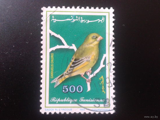 Тунис 1992 птица