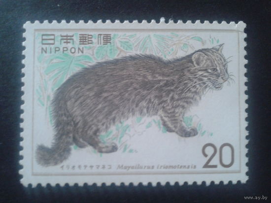 Япония 1974 дикий кот