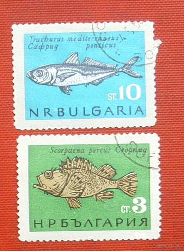 Болгария. Рыбы. ( 2 марки ) 1965 года. 5-6.