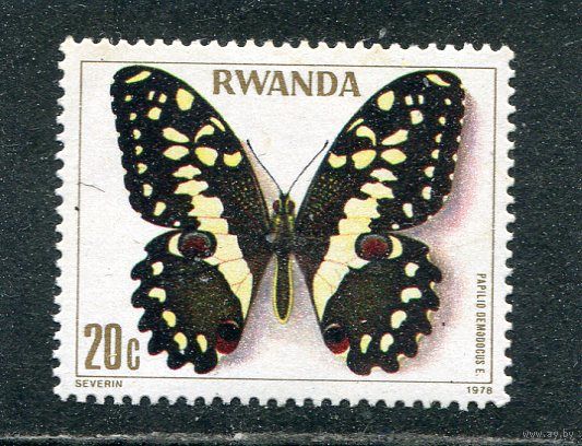 Руанда. Бабочка