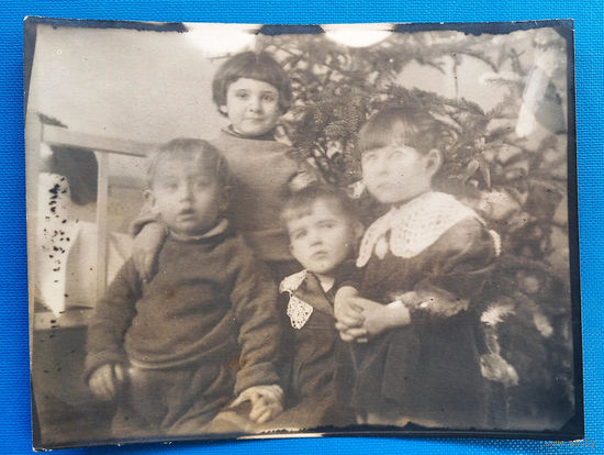 Фото детей у елки. 1950-е? 9х11.5 см