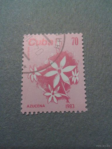 Куба. Флора. 1983г. гашеная