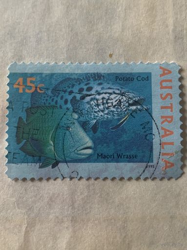 Австралия 1995. Фауна. Рыбы