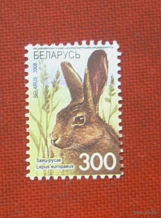 Беларусь. Стандарт. ( 1 марка ) 2008 года. 9-24.