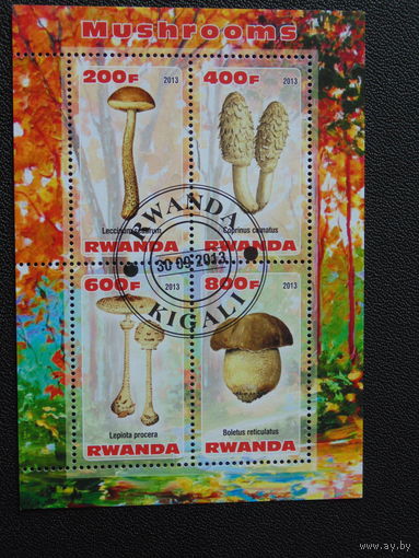 Руанда 2013г. Грибы.