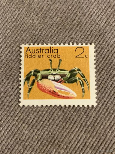 Австралия. Краб. Fiddler crab