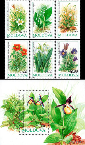 Флора Молдавия 1993 год серия из 6 марок и 1 блока