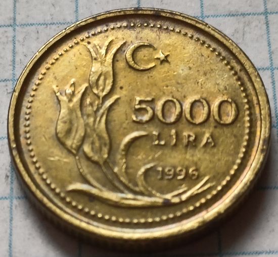 Турция 5000 лир, 1996     ( 2-9-7 )