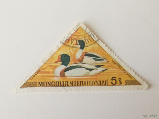 Монголия 1973. Водоплавающие птицы.