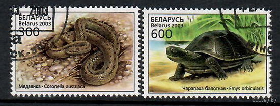 Медянка, черепаха болотная(498-499)