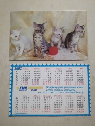Карманный календарик . Котики. Белпочта. 2002 год