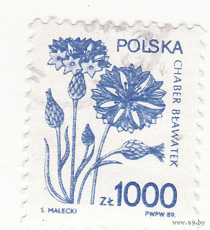 Синий цветок кукурузы 1989 год