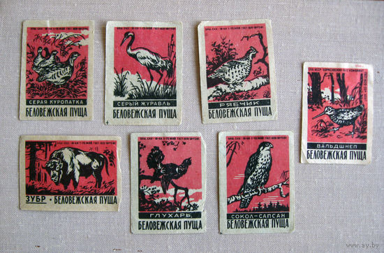 Спичечные этикетки Беловежская пуща Животные 7 штук Красные Борисов Башкирия 1960