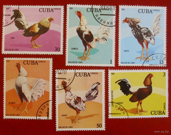 Куба. Курицы. Петухи. ( 6 марок ) 1981 года. 2-7.
