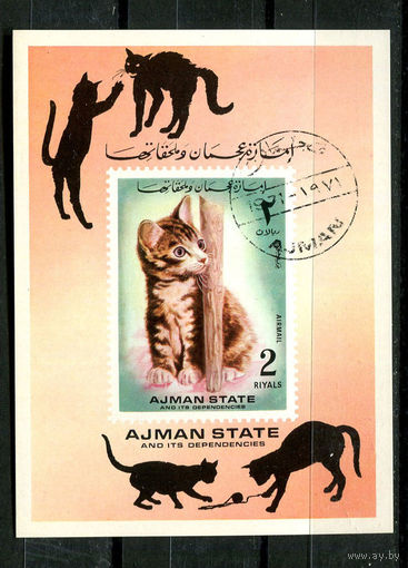 Аджман - 1972 - Кошки - [Mi. bl. 400] - 1 блок. Гашеный.