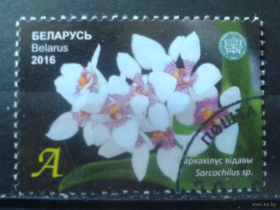 2016 Орхидеи